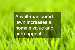 A well-manicured lawn increases a home's value and curb appeal.